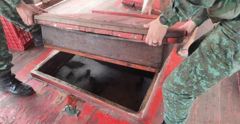 Ipaam e Batalhão Ambiental da PM apreendem cinco toneladas de peixe sem documentação no bairro Educandos Ipaam e Batalhão Ambiental da PM apreendem cinco toneladas de peixe sem documentação no bairro Educandos