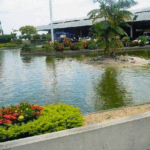 lago