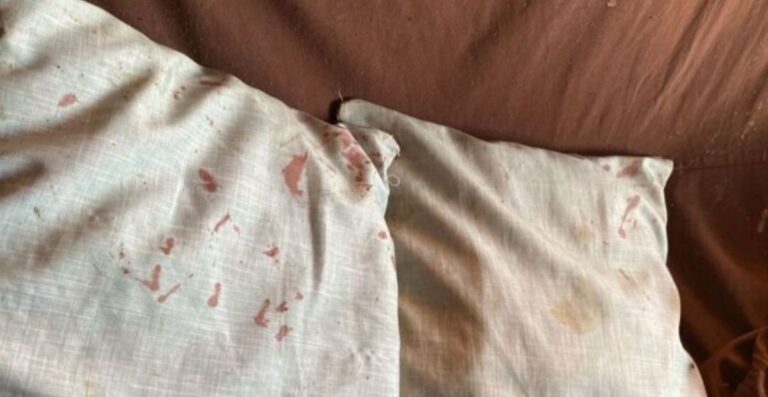 Mulher é presa após matar companheira esganada para “tentar tirar espíritos” Mulher é presa após matar companheira esganada para “tentar tirar espíritos”