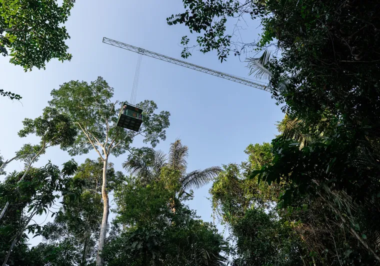 Conheça hotel na Amazônia que criou ‘guindaste’ para observação da floresta