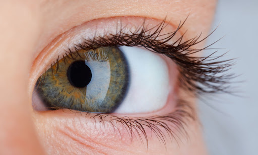 Dia Mundial da Visão: Confira 4 dicas para cuidar da saúde ocular Dia Mundial da Visão: Confira 4 dicas para cuidar da saúde ocular