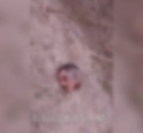 Homem é encontrado decapitado em Porto Calvo; familiares reconhecem vítima por tatuagem