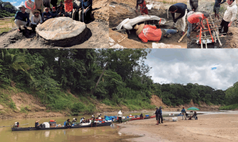 Expedições científicas desvendam áreas pouco exploradas da amazônia