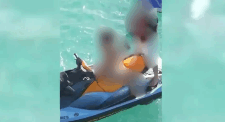 MP investiga gravação de filme adulto em área de preservação em AL