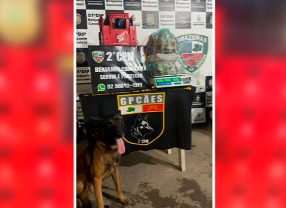 Droga avaliada em R$ 805 mil é apreendida no porto de Benjamin Constant