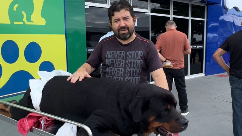 Mais de 23 mil procedimentos são realizados em um mês no Hospital Público Veterinário do Amazonas