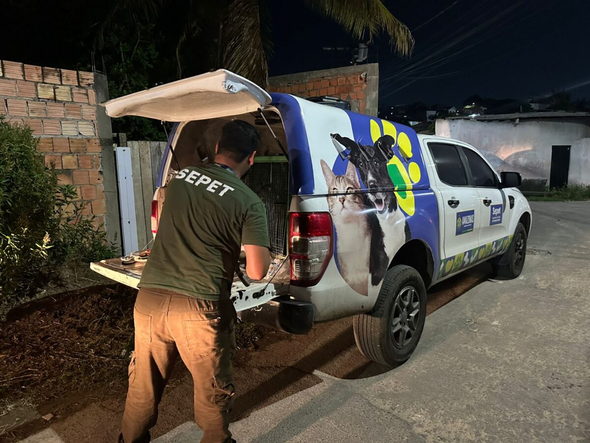 Mais de 20 animais são resgatados de canil clandestino em Manaus