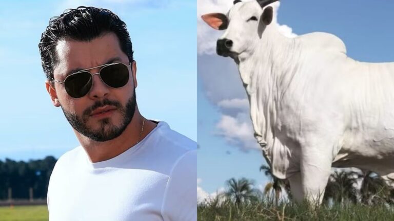 Murilo Huff se torna um dos donos de vaca avaliada em R$ 54 milhões
