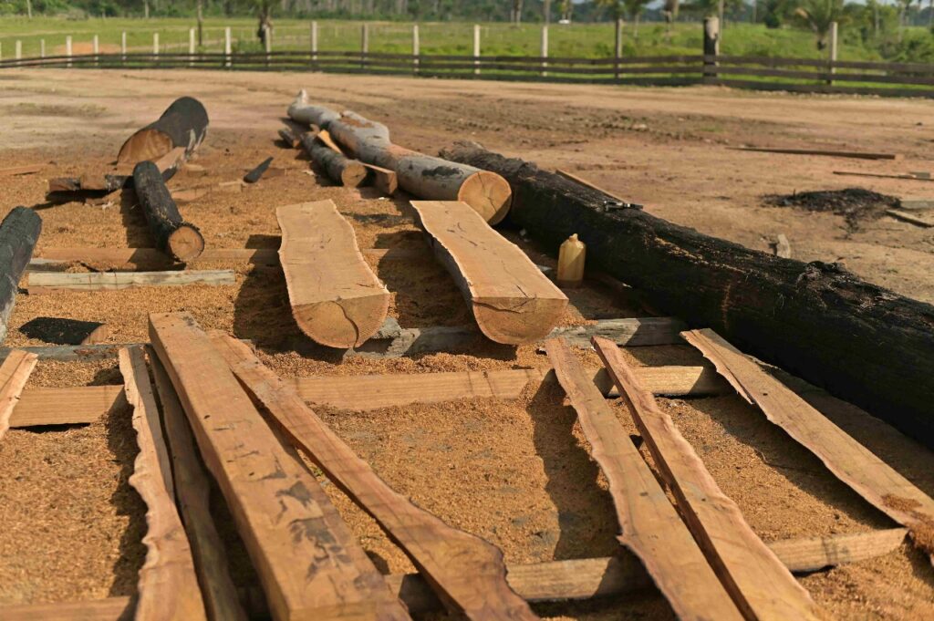 Fiscalização aconteceu após denúncias de supressão ilegal de floresta.