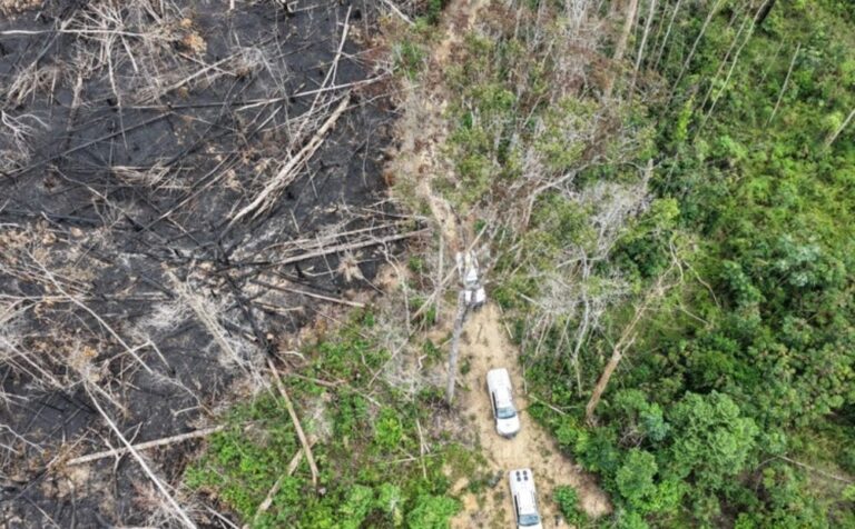 Operação Tamoiotatá 5 aplica mais de R$ 13 milhões em multas por desmatamento no Amazonas