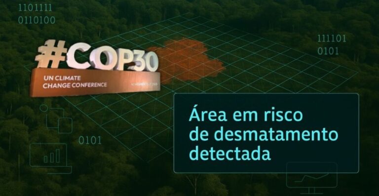 COP 30: Como IA pode ser aliada para zerar o desmatamento ilegal