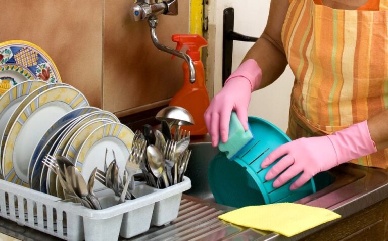 Deputado propõe política estadual para reconhecer e proteger trabalhadores domésticos