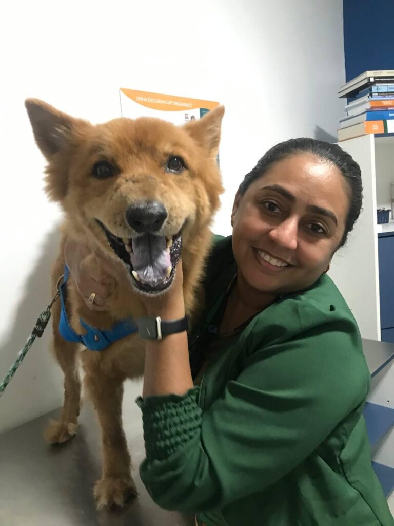 ‘Novembro Azul Pet’ incentiva exames preventivos em animais de estimação