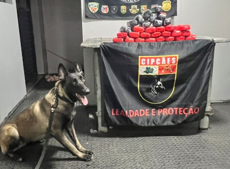 Drogas avaliadas em R$ 750 mil são encontradas entre garrafões de água em barco no Amazonas