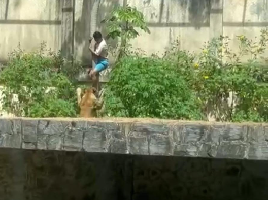 Um mês antes do ataque, Justiça ordenou internação de jovem morto por leoa