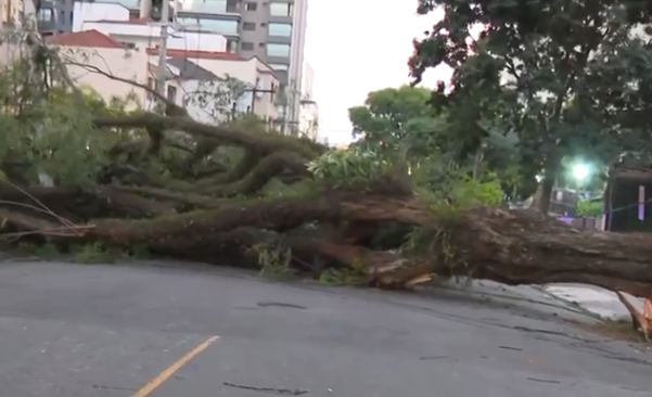 Grande SP tem mais de 1,5 milhão de imóveis sem energia após ventania Grande SP tem mais de 1,5 milhão de imóveis sem energia após ventania