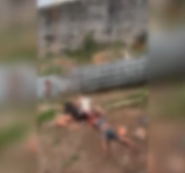 Pitbulls atacam e matam homem em terreno na zona leste de São Paulo Pitbulls atacam e matam homem em terreno na zona leste de São Paulo