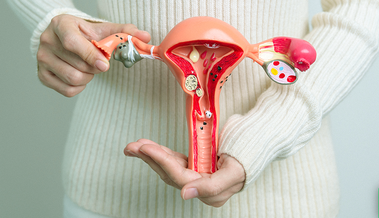 Deputado do Amazonas propõe Dia de Conscientização sobre a Menopausa