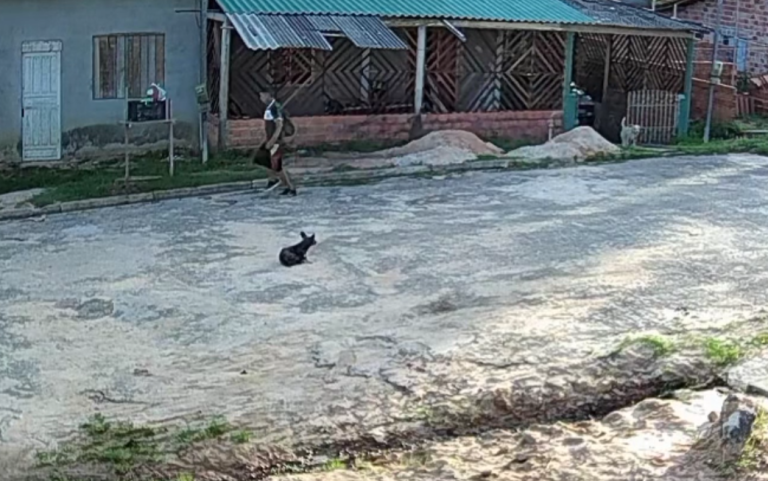 Homem é preso suspeito de incendiar casa com companheira e filhos dentro