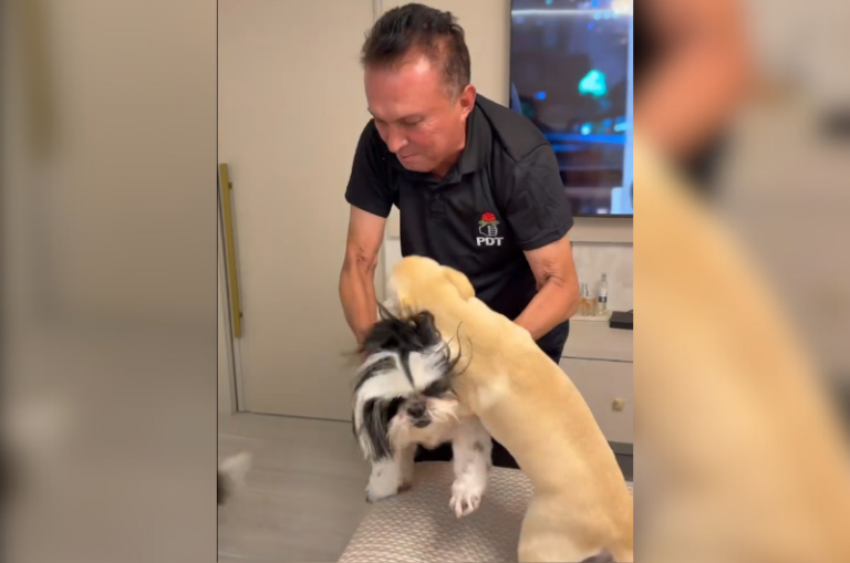 Em vídeo Sabá Reis surge com camisa que ‘revela’ seu novo partido