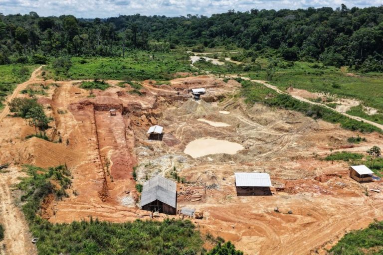 Operação Tamoiotatá aplica mais de R$ 144 milhões em multas contra crimes ambientais no Amazonas