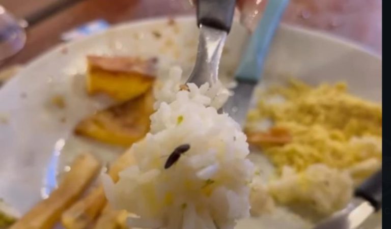 Arroz com brócolis é servido com barata em restaurante de Manaus; veja vídeo