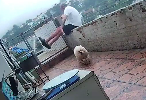 Homem cai de laje após ser derrubado pelo próprio cachorro no Rio; vídeo viraliza