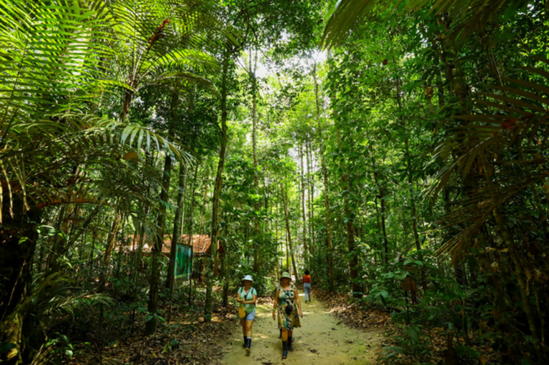 Amazônia lidera ranking de destinos de ecoturismo para 2026
