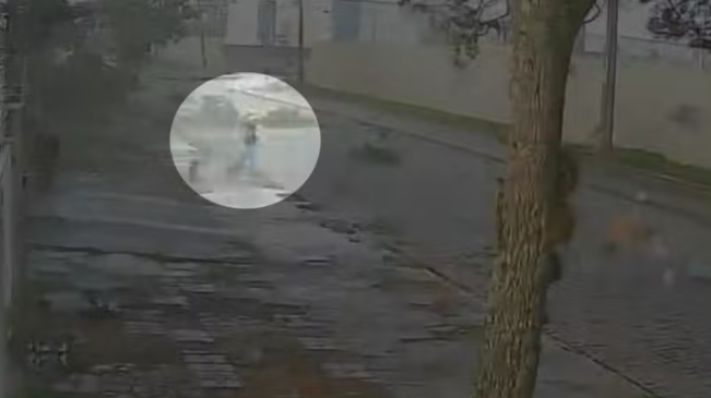 Vídeo mostra jovem agarrando árvore para sobreviver a tornado de 180 km/h no Paraná