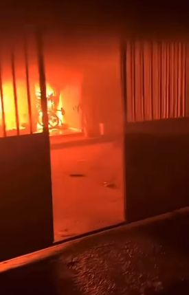 VÍDEO: Homem ateia fogo na própria casa, mata cachorro e é preso em Goiás