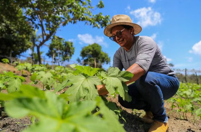 Projeto capacita produtores rurais de Iranduba e Rio Preto da Eva