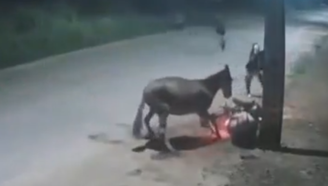 Motociclista sofre acidente com cavalo solto e é assaltado no Maranhão