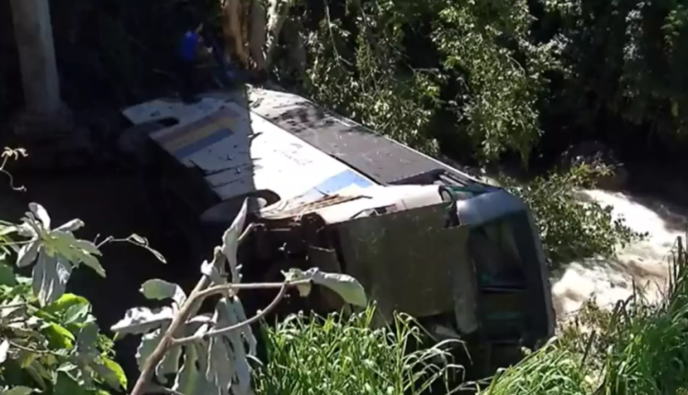 Vacas soltas provocam acidente e ônibus cai de ponte em Goiás