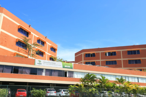 ICMBio regulamenta operações de resgate de baleias e prevê punições em caso de falhas