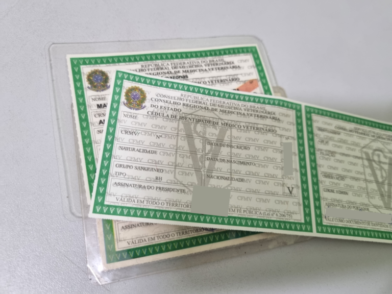 Conselho Federal de Medicina Veterinária simplifica regras para emitir carteira profissional