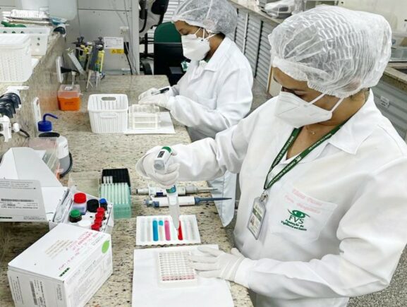 Quase 5 mil casos de esporotricose animal foram registrados no Amazonas em 2025