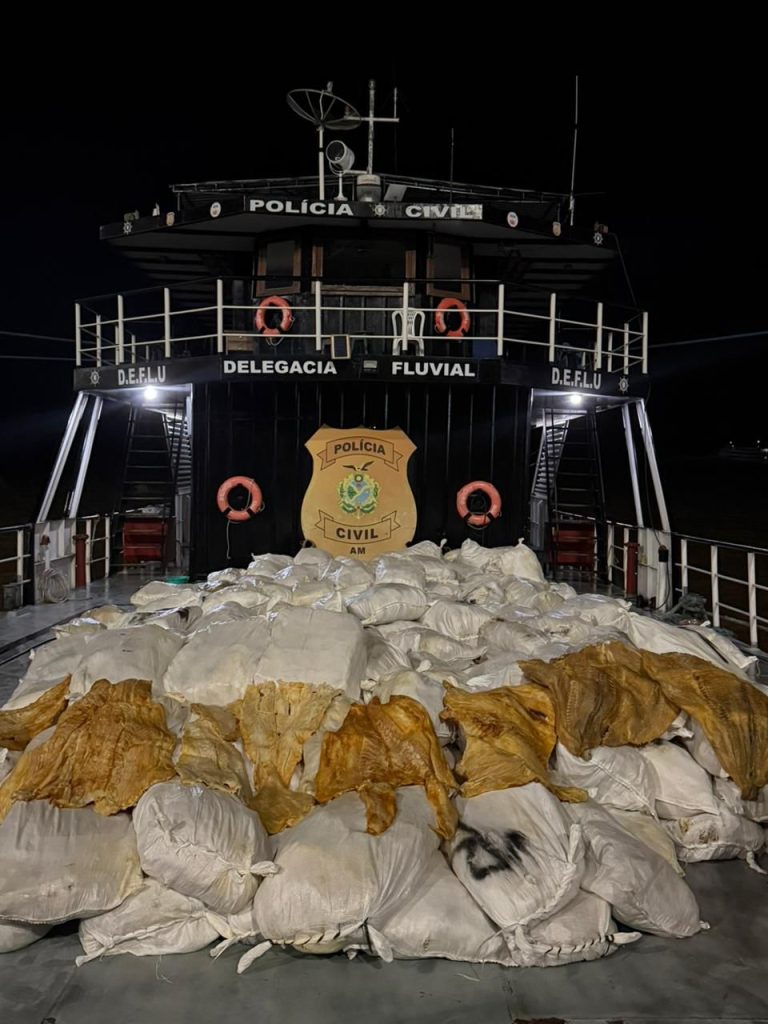 Mais de 300 sacos de pirarucu seco são apreendidos em Itacoatiara