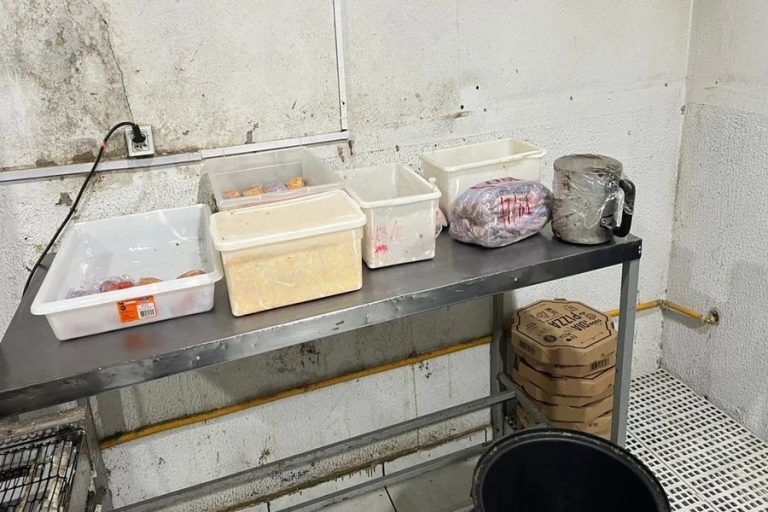 Polícia fecha pizzaria que faturava até R$ 10 mil por dia em Aparecida de Goiânia