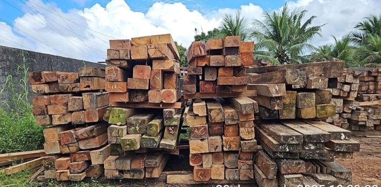 Ipaam abre cadastro para doação de bens apreendidos em fiscalizações ambientais