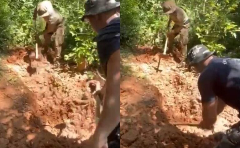 Corpos são encontrados em mata e revelam cemitério clandestino em SC