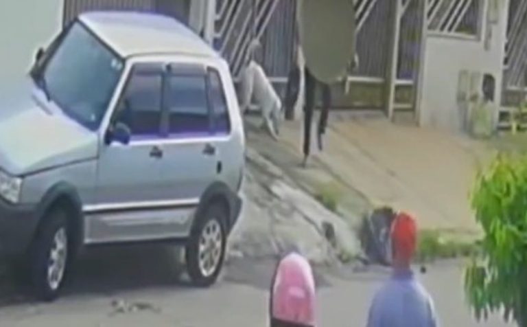 Vídeo mostra ataque de pitbull a criança de 2 anos