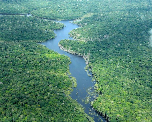 Amazonas registra, em 2025, menor número de alertas de desmatamento em oito anos