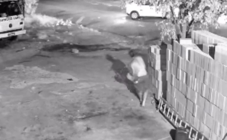 Tentativa de assalto a empresa termina com homem morto em SP