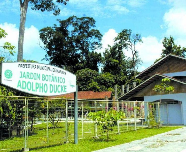 Buscas por homem perdido no Musa chegam ao 4º dia