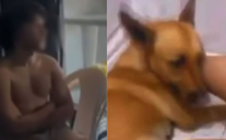 “Peguei para experimentar”: Vídeo mostra jovem confessando zoofilia contra cadela em Manaus