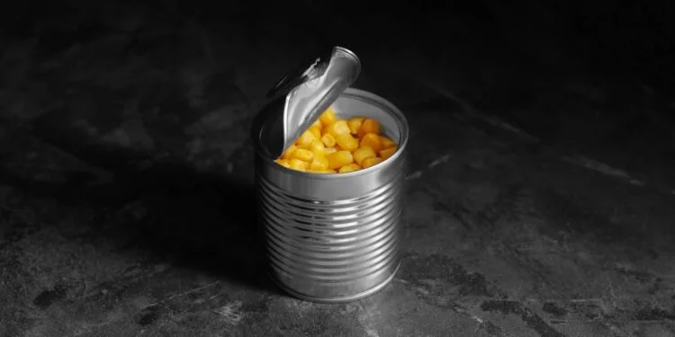 Estudo francês associa alguns conservantes alimentares a aumento do risco de câncer