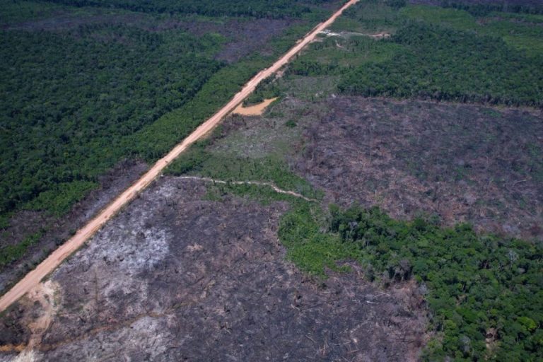 Amazônia reúne quase 50% dos conflitos de terra no Brasil, aponta estudo