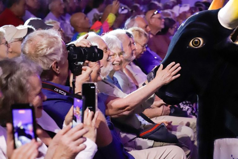 Caprichoso encanta turistas dos EUA e leva Parintins ao circuito internacional de cruzeiros