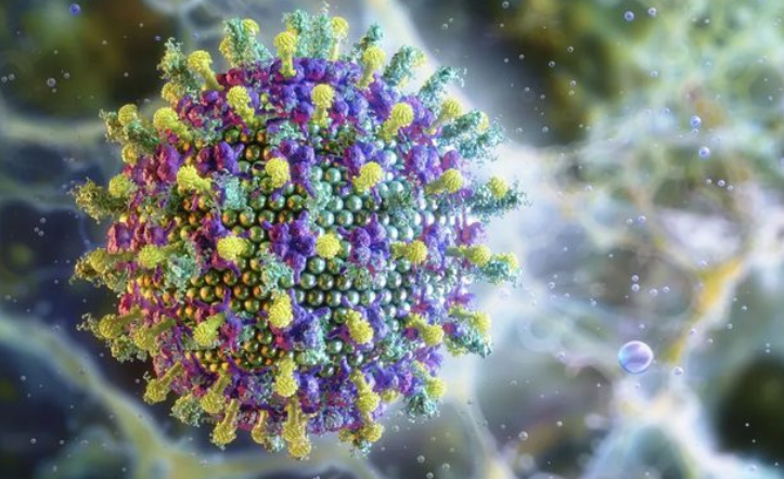 Brasil não tem caso de vírus Nipah, afirma Ministério da Saúde