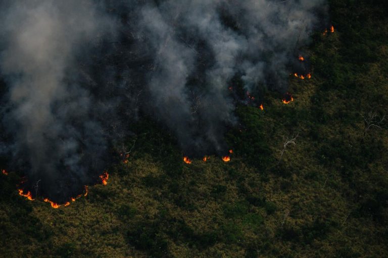 Autazes, Barcelos e Lábrea lideraram o número de focos de calor no Amazonas